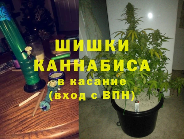 спайс Елабуга