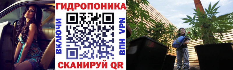 Конопля план  как найти наркотики  Жирновск 